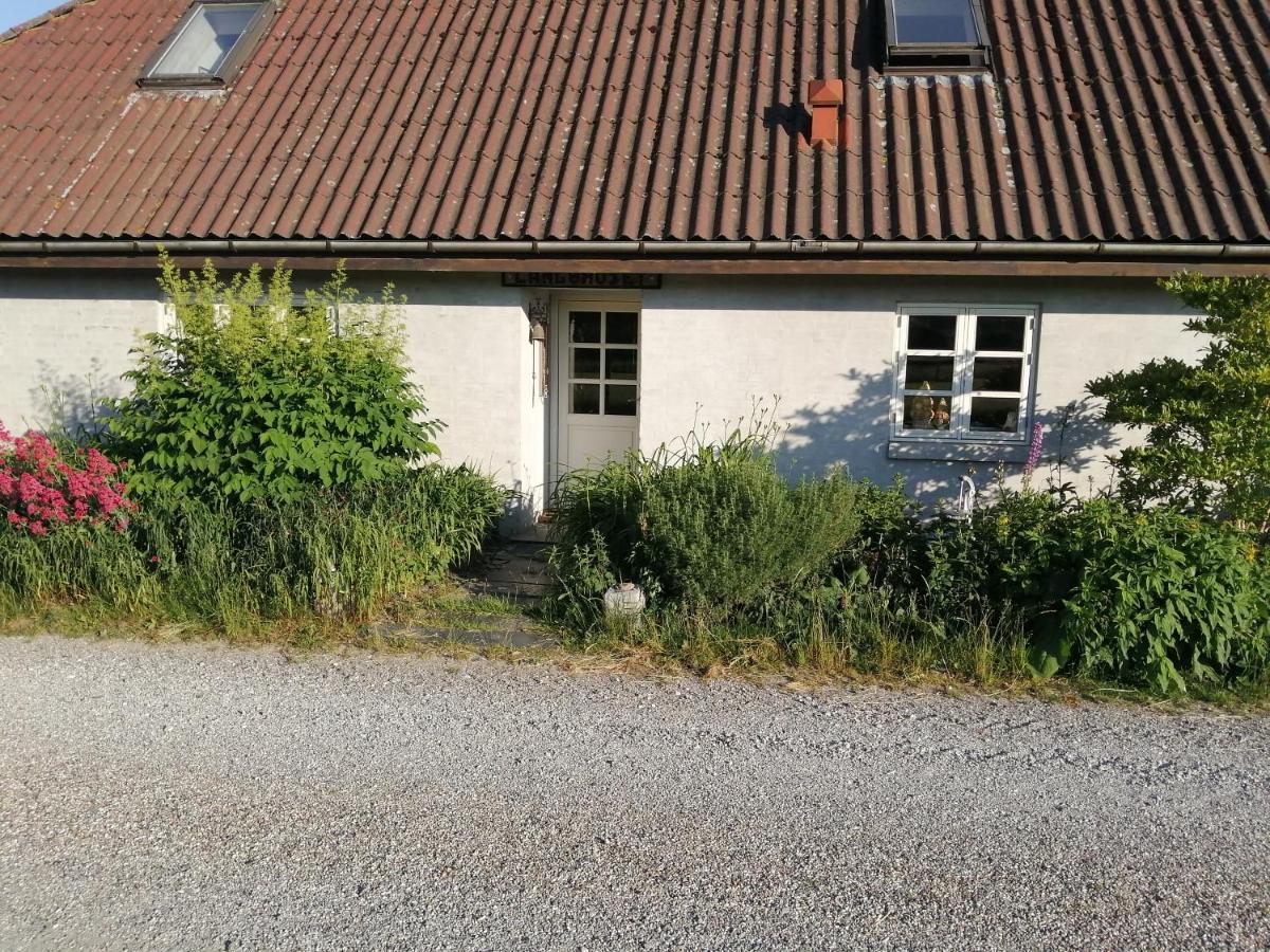 Langøhuset Lejlighed Langebæk Eksteriør billede